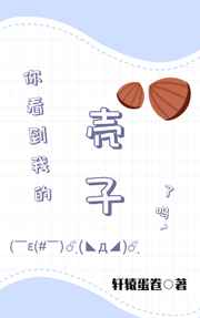 你看到我的壳子了吗小说