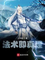 法术即真理小说