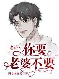 老许,你要老婆不要小说