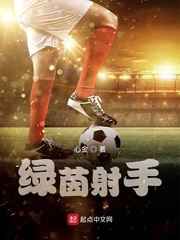 绿茵射手小说