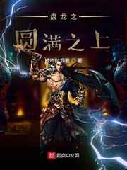 盘龙之圆满之上小说