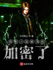 我的小说被S级加密了小说