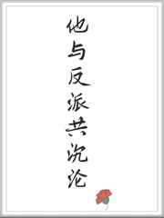 他与反派共沉沦小说
