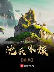 沈氏家族崛起小说