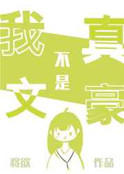 我真不是文豪小说