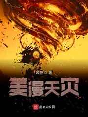美漫天灾小说