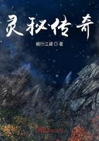 灵秘传奇小说
