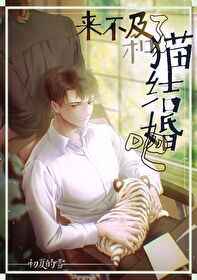 来不及了和猫结婚吧小说