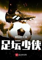 足坛少侠小说