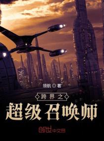 跨界之超级召唤师小说