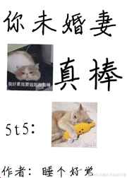 你未婚妻真棒小说