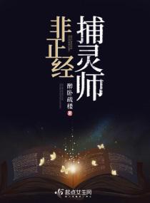 非正经捕灵师小说