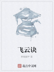 飞云诀小说