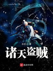 诸天盗贼小说