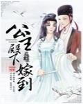 公主殿下嫁到小说