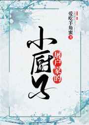 屠户家的小厨子小说