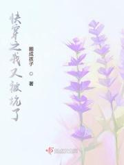 快穿之我又被坑了小说