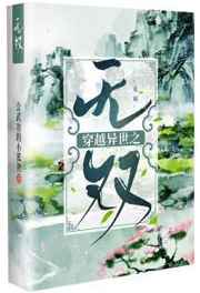 穿越异世之无双小说