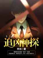 追凶神探小说