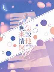 怎敌他晚来情深小说