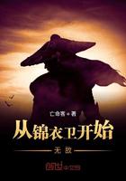 从锦衣卫开始无敌小说