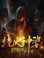 烧火神婆小说