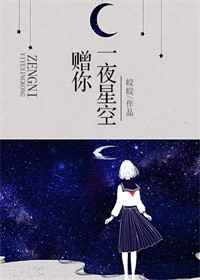 赠你一夜星空小说