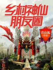 乡村神仙朋友圈小说