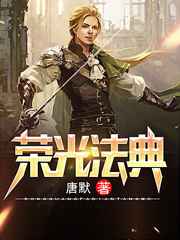 荣光法典小说
