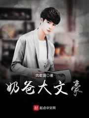 奶爸大文豪小说