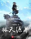 极天源界小说
