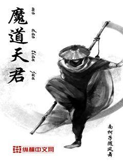 魔道天君小说