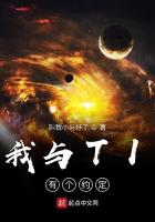 我与TI有个约定小说