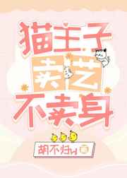 猫主子卖艺不卖身小说