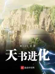 天书进化小说