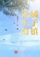 消失的橘子镇小说