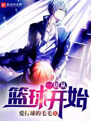 一切从篮球开始小说
