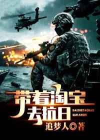 带着淘宝去抗日小说