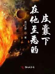 在他至恶的皮囊下小说