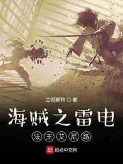 海贼之雷电法王艾尼路小说