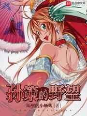 孙策的野望小说