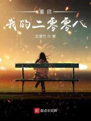 重回我的二零零八小说