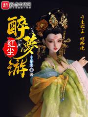 红尘醉梦游小说