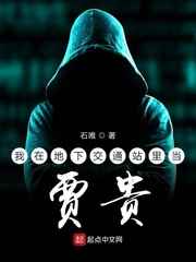 我在地下交通站里当贾贵小说