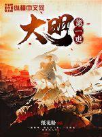 大明第一吏小说