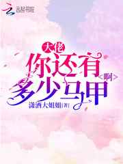 大佬你还有多少马甲啊小说