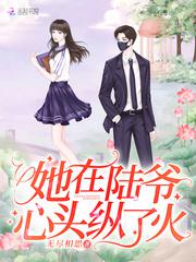 她在陆爷心头纵了火小说