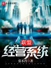 联盟经营系统小说