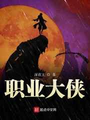 职业大侠小说