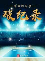 我真的只想破纪录小说